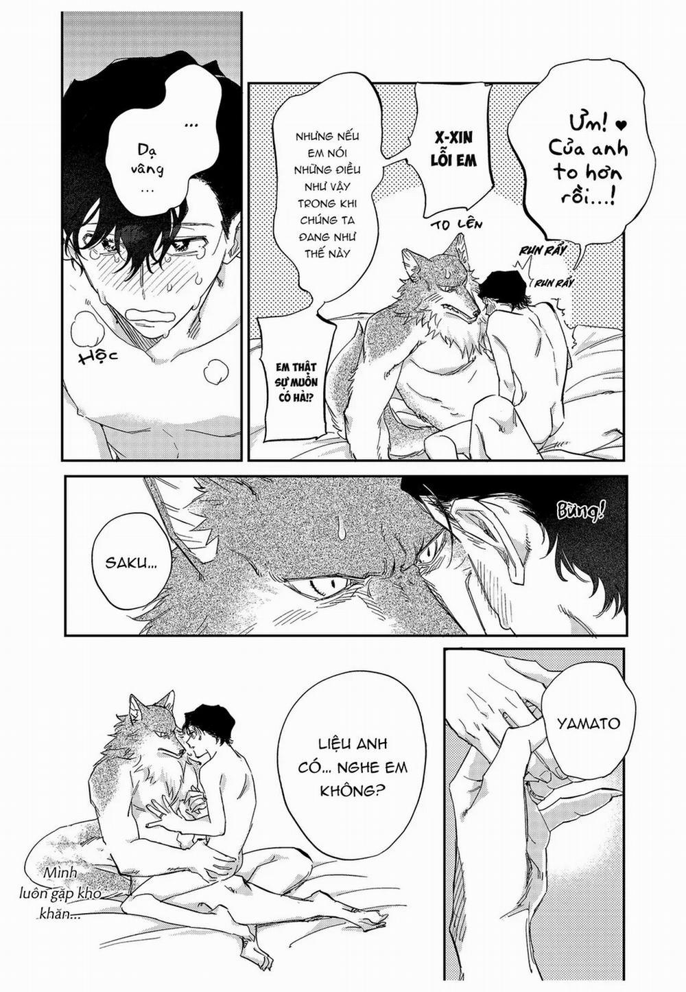 Chìm Đắm Trong Tình Yêu Mãnh Liệt Với Anh Chàng Người Sói 10 trang 2