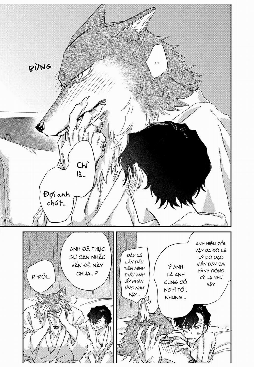 Chìm Đắm Trong Tình Yêu Mãnh Liệt Với Anh Chàng Người Sói 10 trang 6