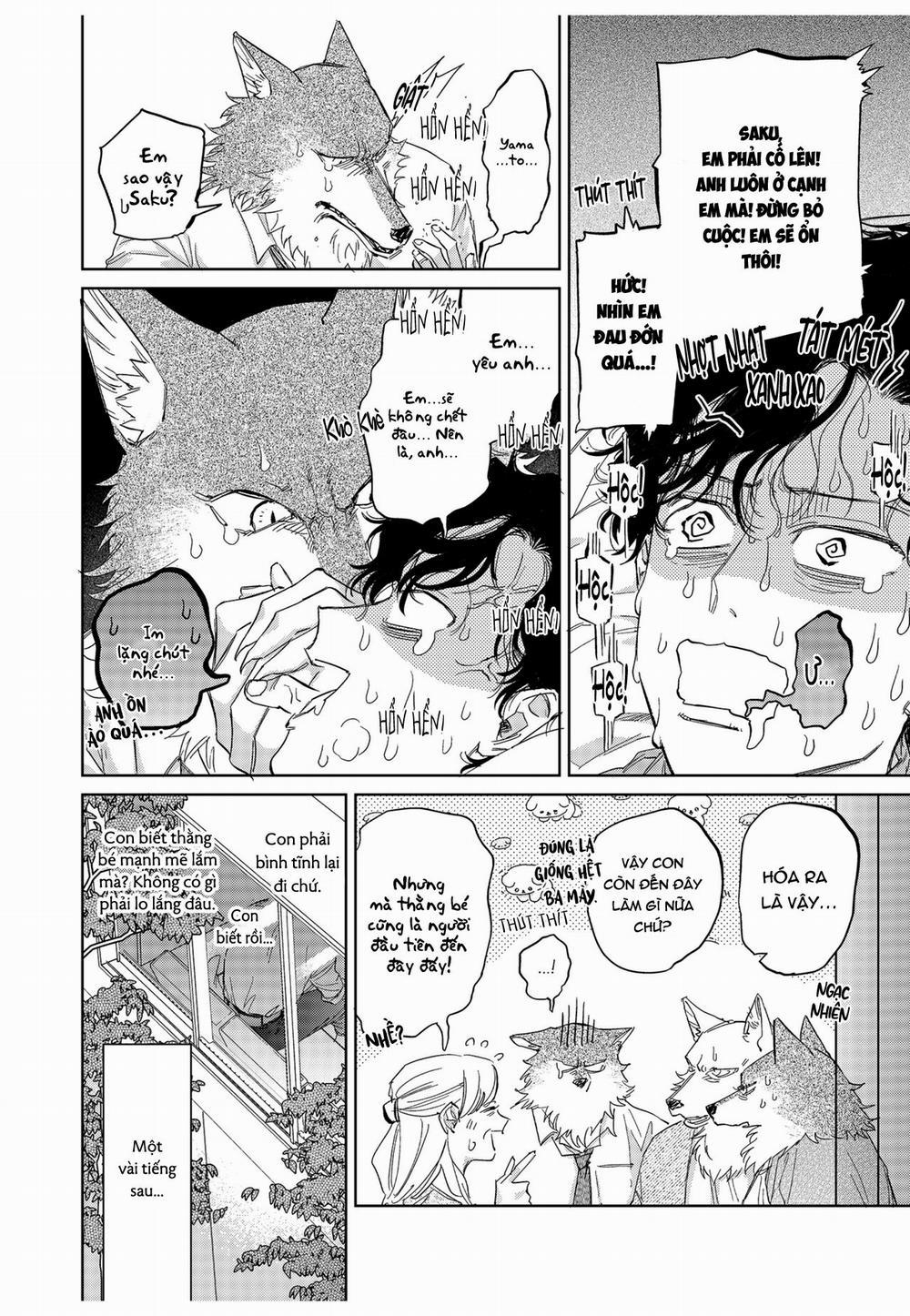 Chìm Đắm Trong Tình Yêu Mãnh Liệt Với Anh Chàng Người Sói 12 trang 1