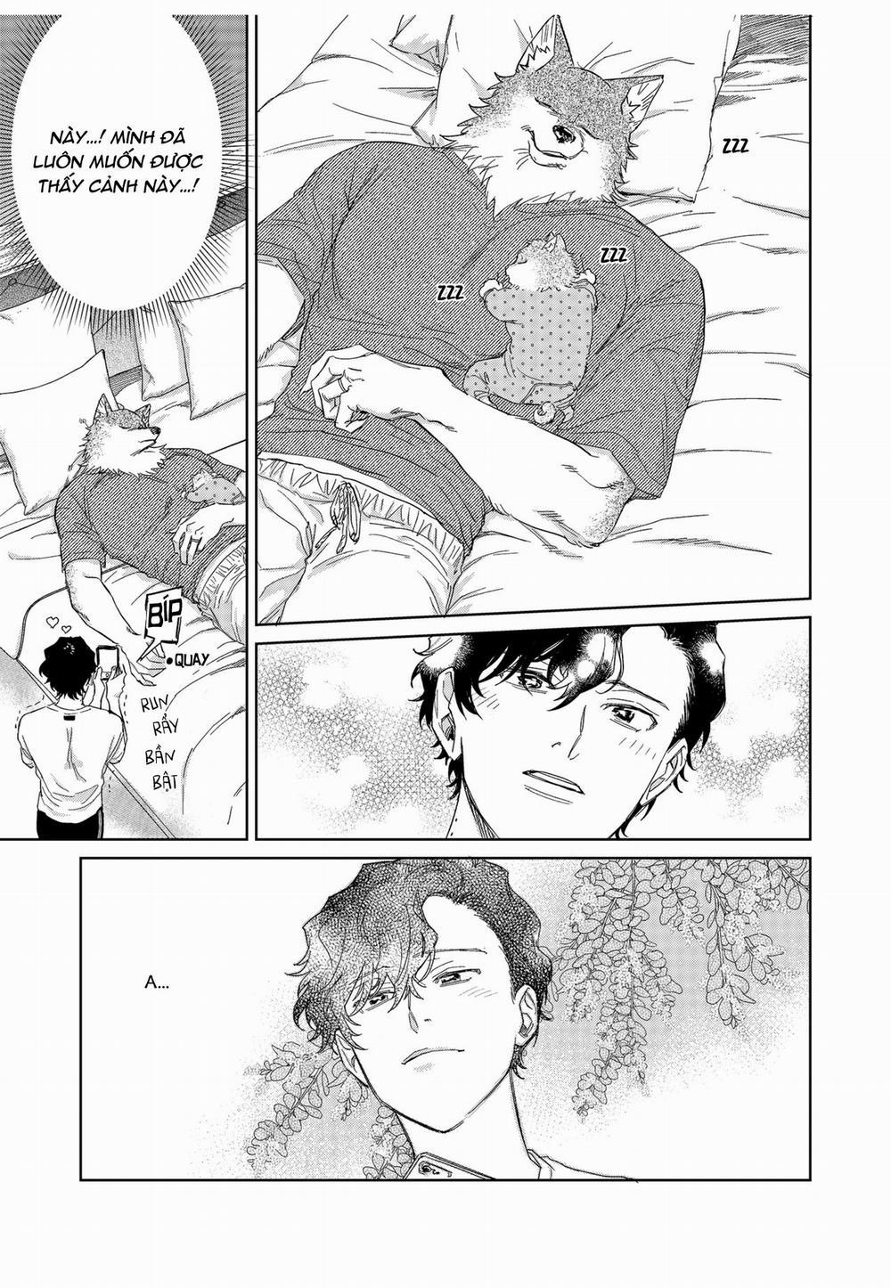 Chìm Đắm Trong Tình Yêu Mãnh Liệt Với Anh Chàng Người Sói 12 trang 16