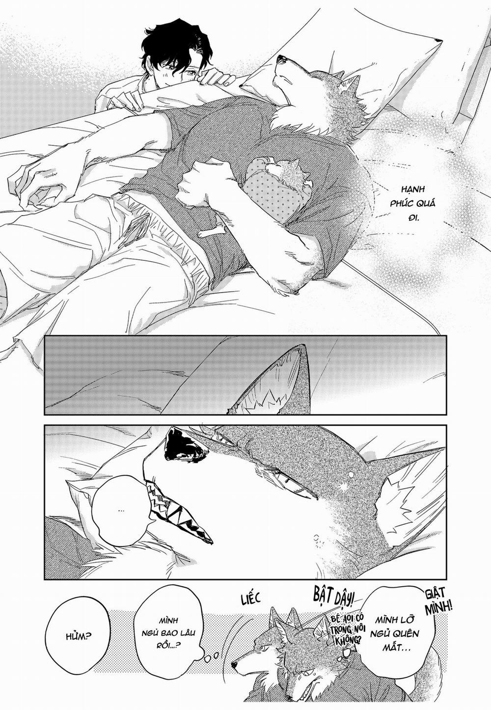 Chìm Đắm Trong Tình Yêu Mãnh Liệt Với Anh Chàng Người Sói 12 trang 17