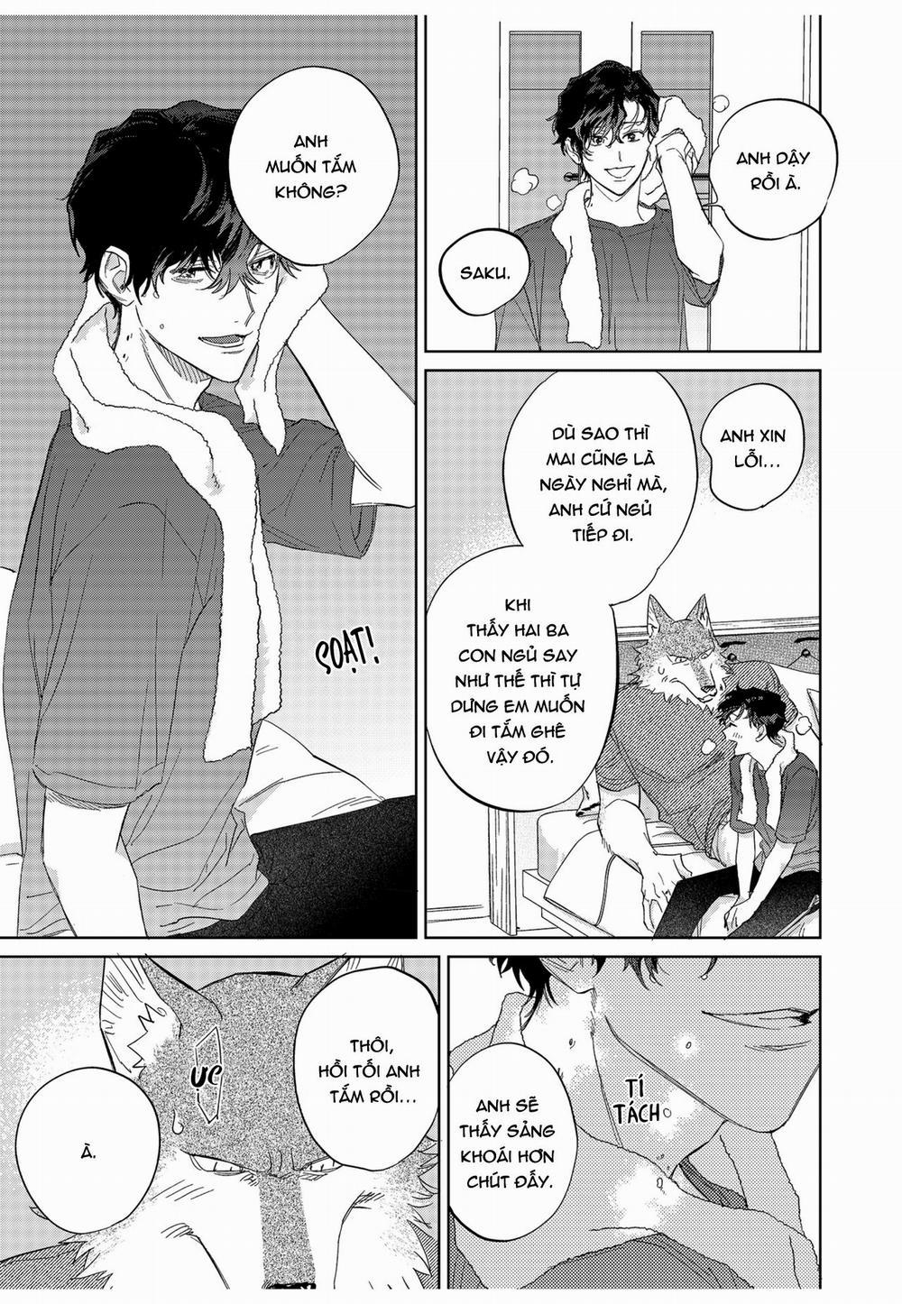 Chìm Đắm Trong Tình Yêu Mãnh Liệt Với Anh Chàng Người Sói 12 trang 18