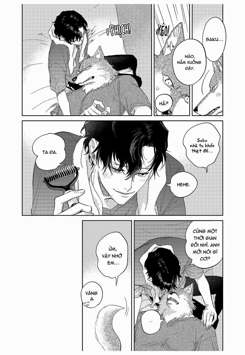 Chìm Đắm Trong Tình Yêu Mãnh Liệt Với Anh Chàng Người Sói 12 trang 19