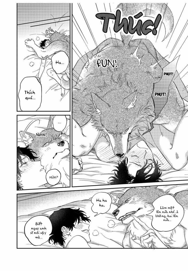 Chìm Đắm Trong Tình Yêu Mãnh Liệt Với Anh Chàng Người Sói 13 trang 11