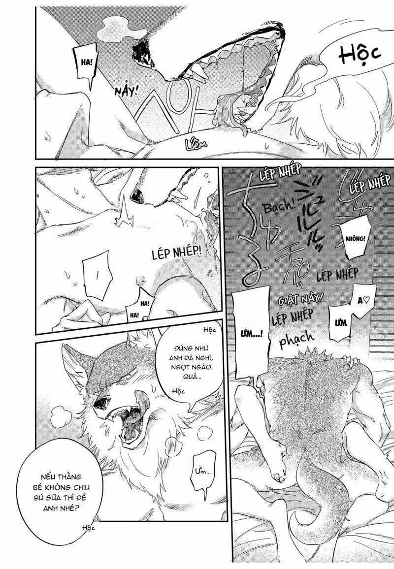 Chìm Đắm Trong Tình Yêu Mãnh Liệt Với Anh Chàng Người Sói 13 trang 7