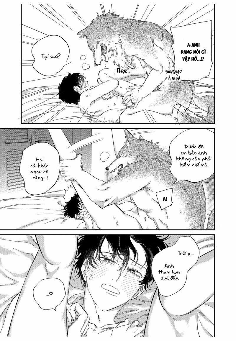 Chìm Đắm Trong Tình Yêu Mãnh Liệt Với Anh Chàng Người Sói 13 trang 8