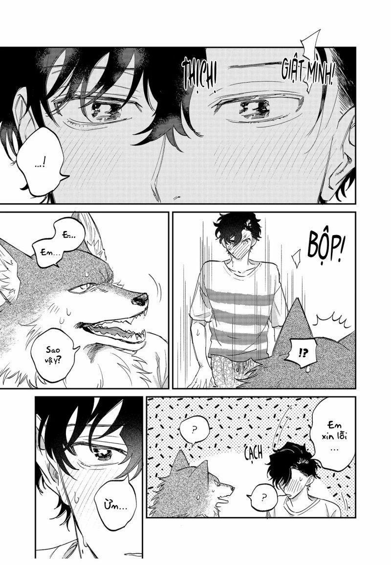 Chìm Đắm Trong Tình Yêu Mãnh Liệt Với Anh Chàng Người Sói 14 trang 14