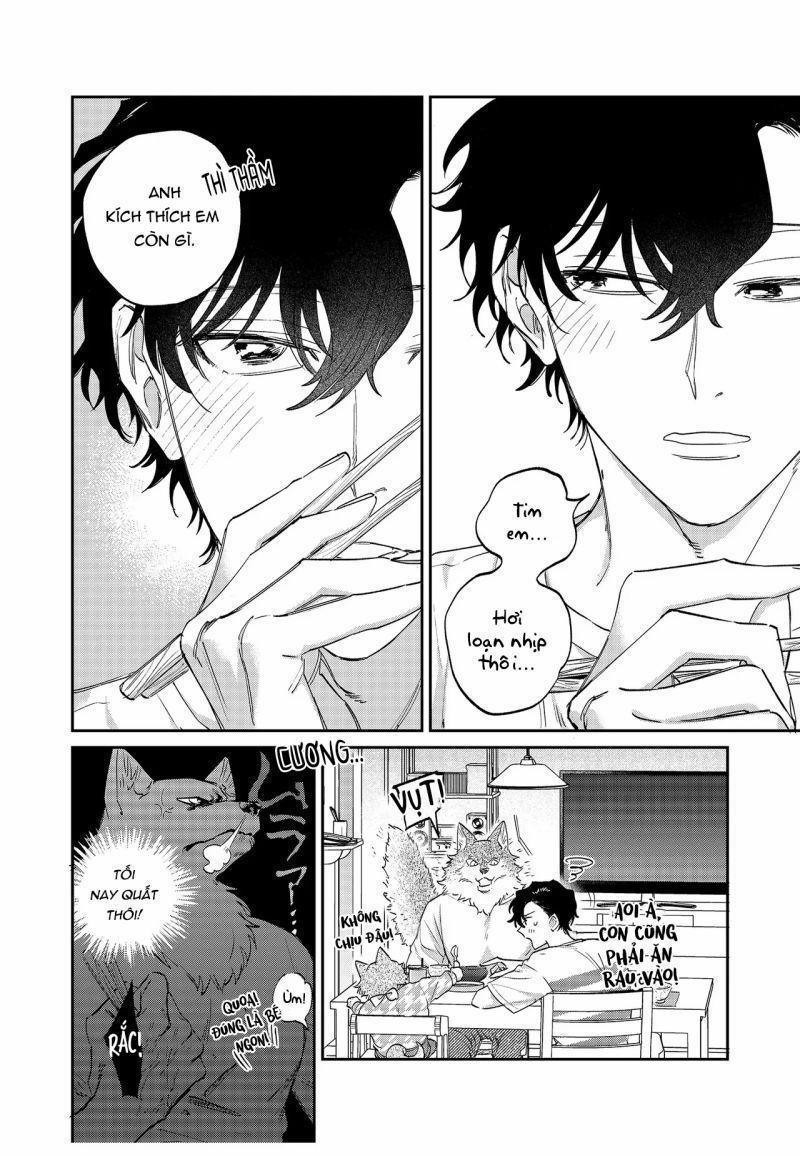 Chìm Đắm Trong Tình Yêu Mãnh Liệt Với Anh Chàng Người Sói 14 trang 15