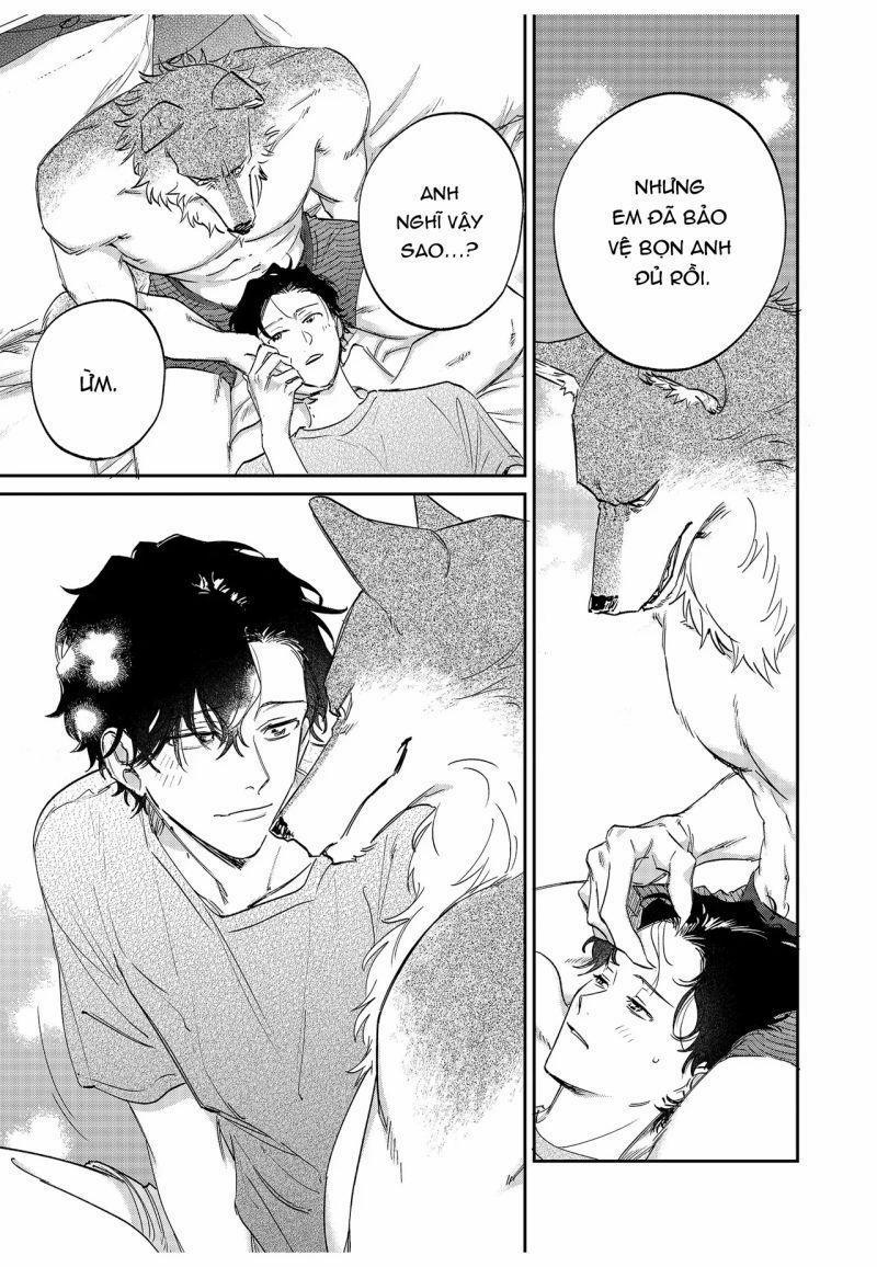 Chìm Đắm Trong Tình Yêu Mãnh Liệt Với Anh Chàng Người Sói 14 trang 22