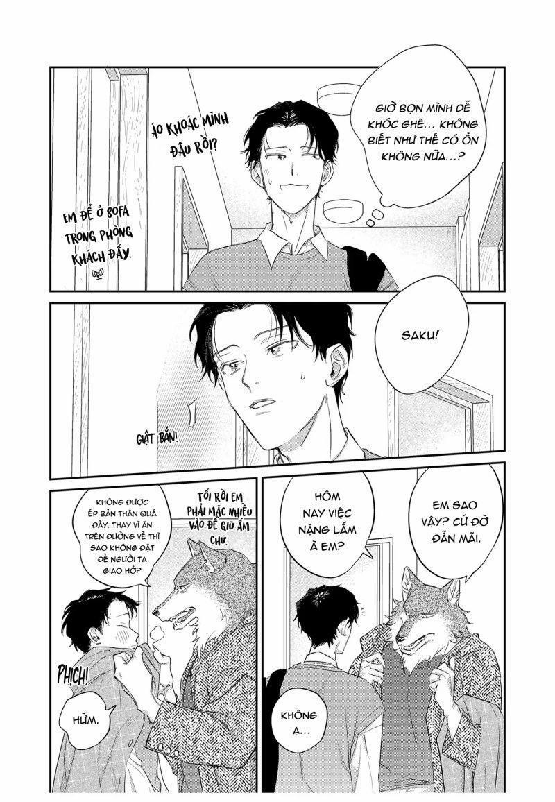 Chìm Đắm Trong Tình Yêu Mãnh Liệt Với Anh Chàng Người Sói 15 trang 16