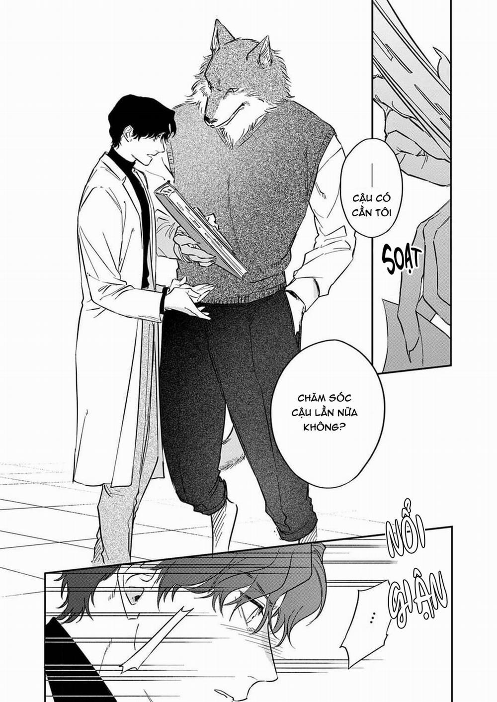 Chìm Đắm Trong Tình Yêu Mãnh Liệt Với Anh Chàng Người Sói 2 trang 7