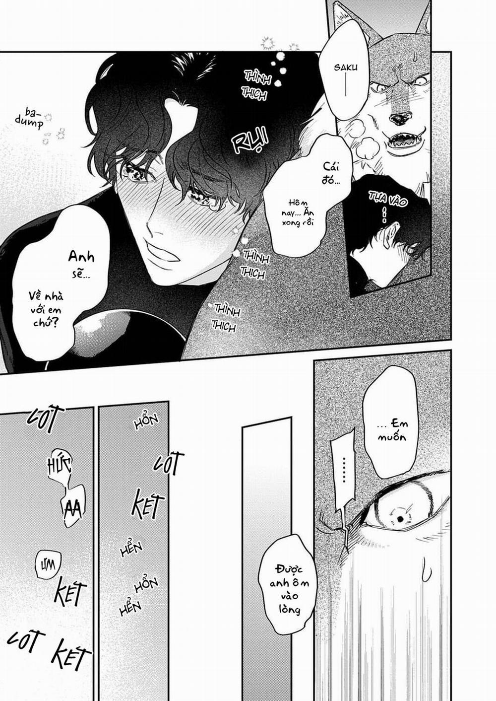 Chìm Đắm Trong Tình Yêu Mãnh Liệt Với Anh Chàng Người Sói 4 trang 18