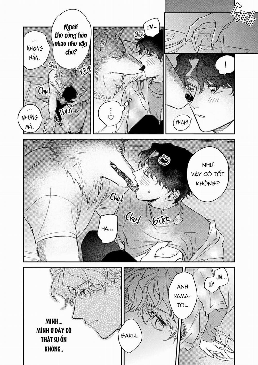 Chìm Đắm Trong Tình Yêu Mãnh Liệt Với Anh Chàng Người Sói 5 trang 15