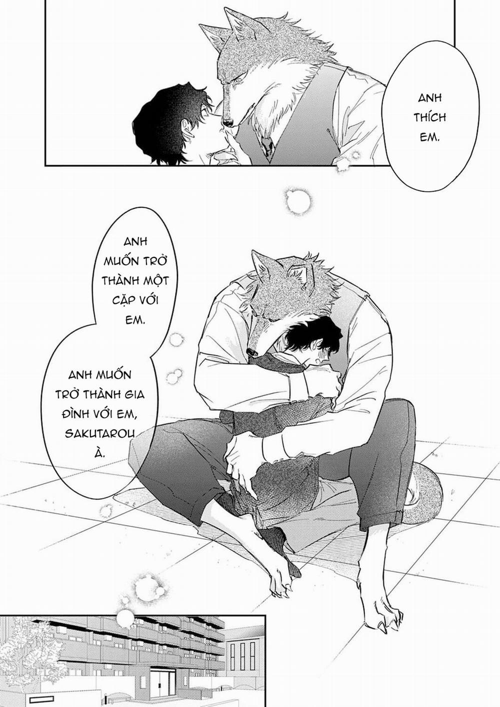 Chìm Đắm Trong Tình Yêu Mãnh Liệt Với Anh Chàng Người Sói 6 trang 18