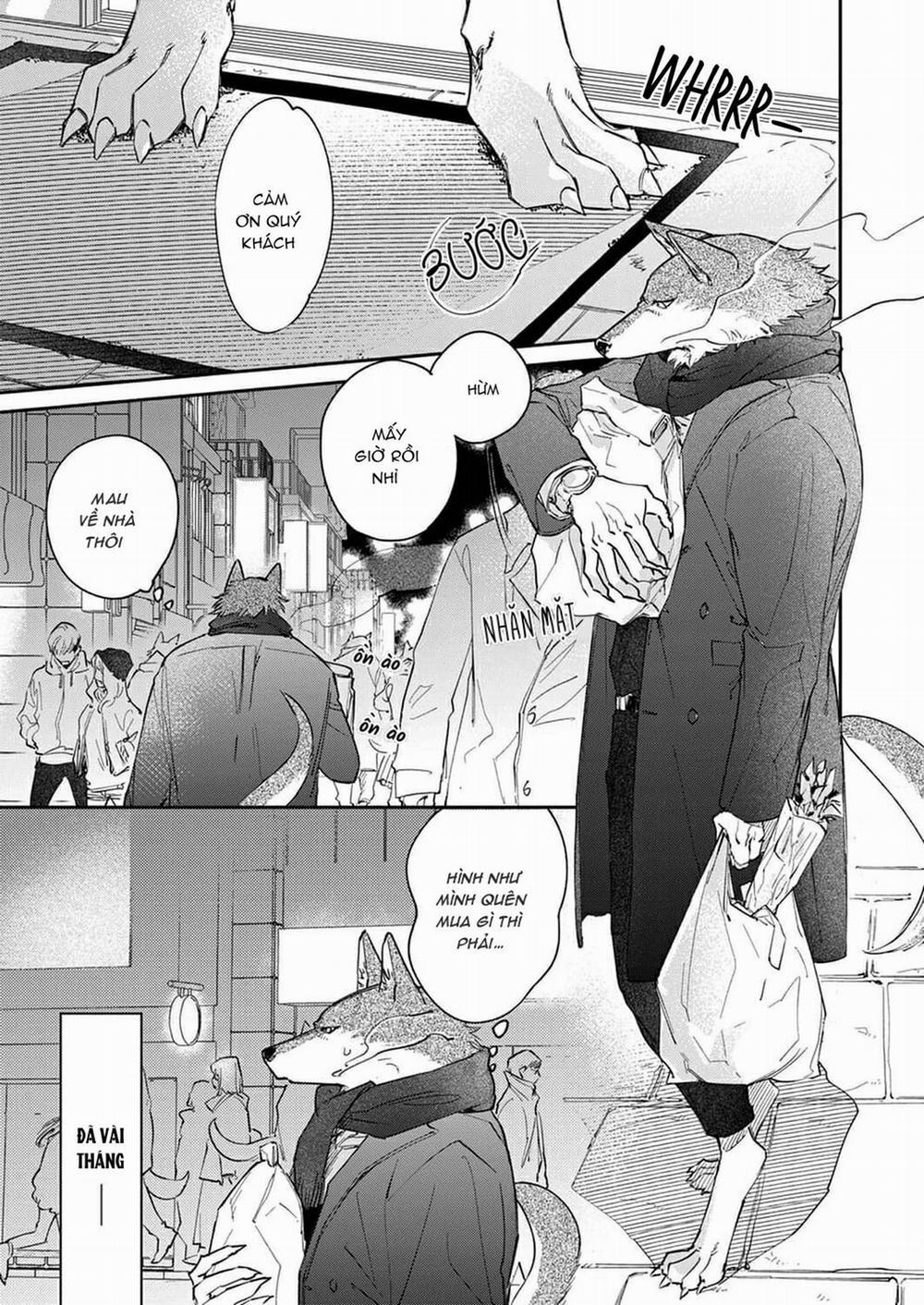 Chìm Đắm Trong Tình Yêu Mãnh Liệt Với Anh Chàng Người Sói 7 trang 0