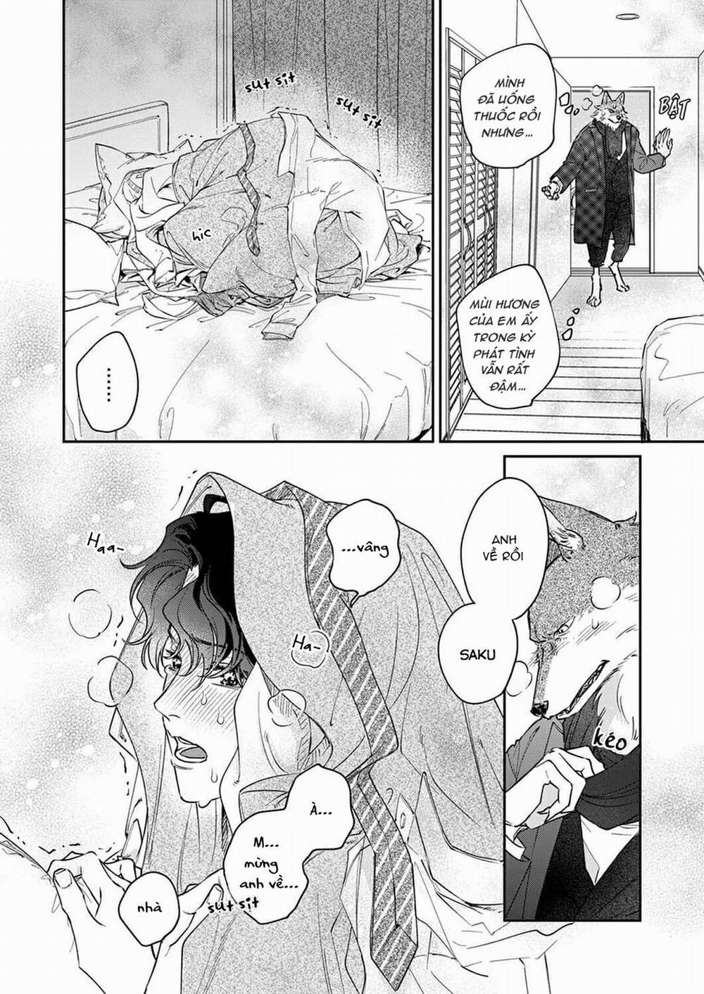 Chìm Đắm Trong Tình Yêu Mãnh Liệt Với Anh Chàng Người Sói 7 trang 3