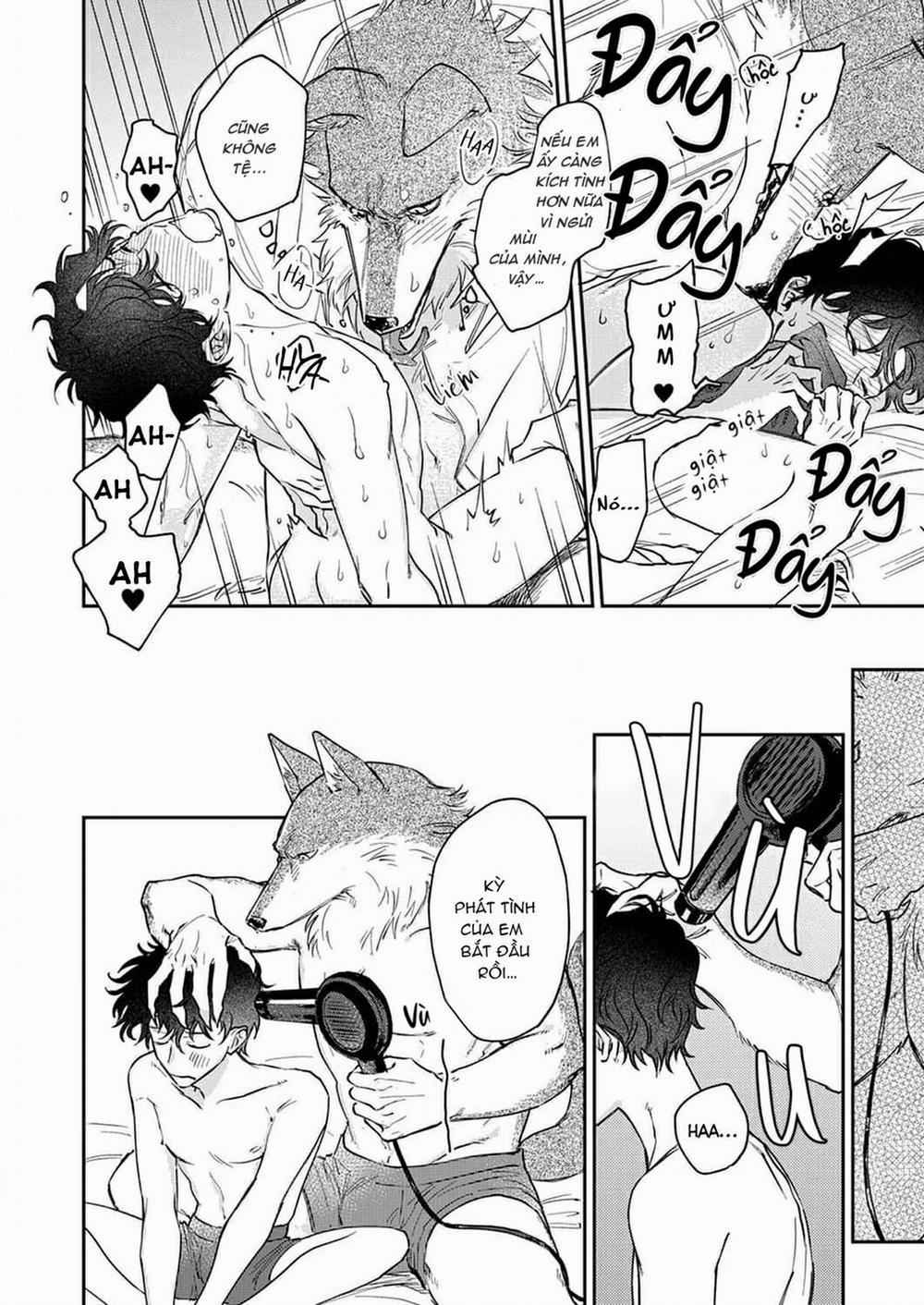 Chìm Đắm Trong Tình Yêu Mãnh Liệt Với Anh Chàng Người Sói 7 trang 7