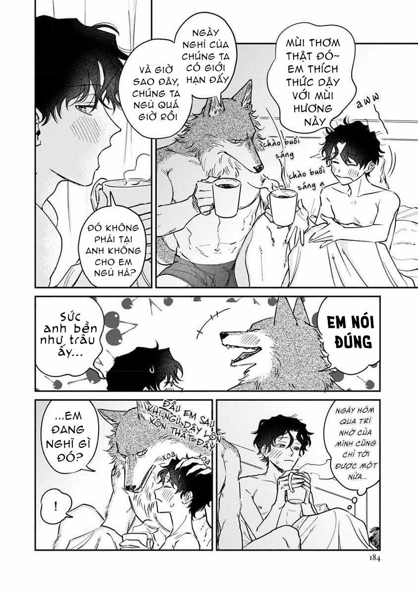 Chìm Đắm Trong Tình Yêu Mãnh Liệt Với Anh Chàng Người Sói 8 trang 4