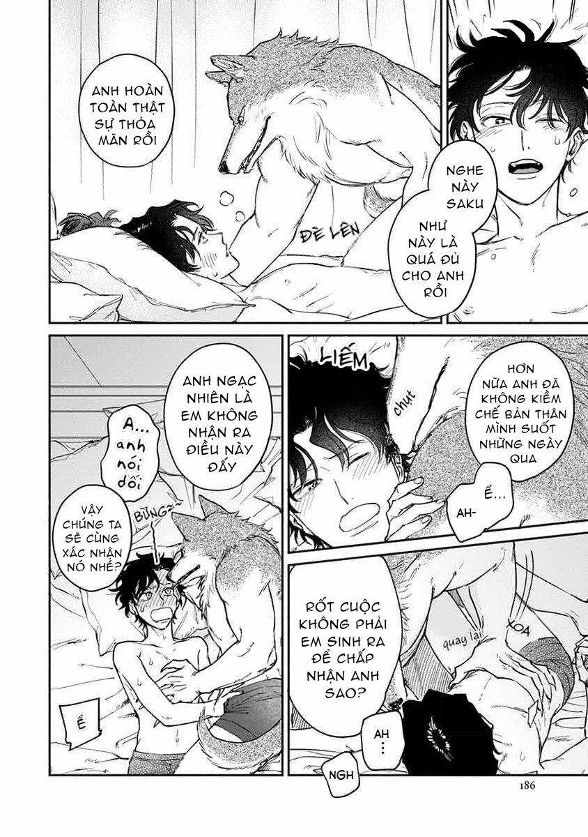 Chìm Đắm Trong Tình Yêu Mãnh Liệt Với Anh Chàng Người Sói 8 trang 6