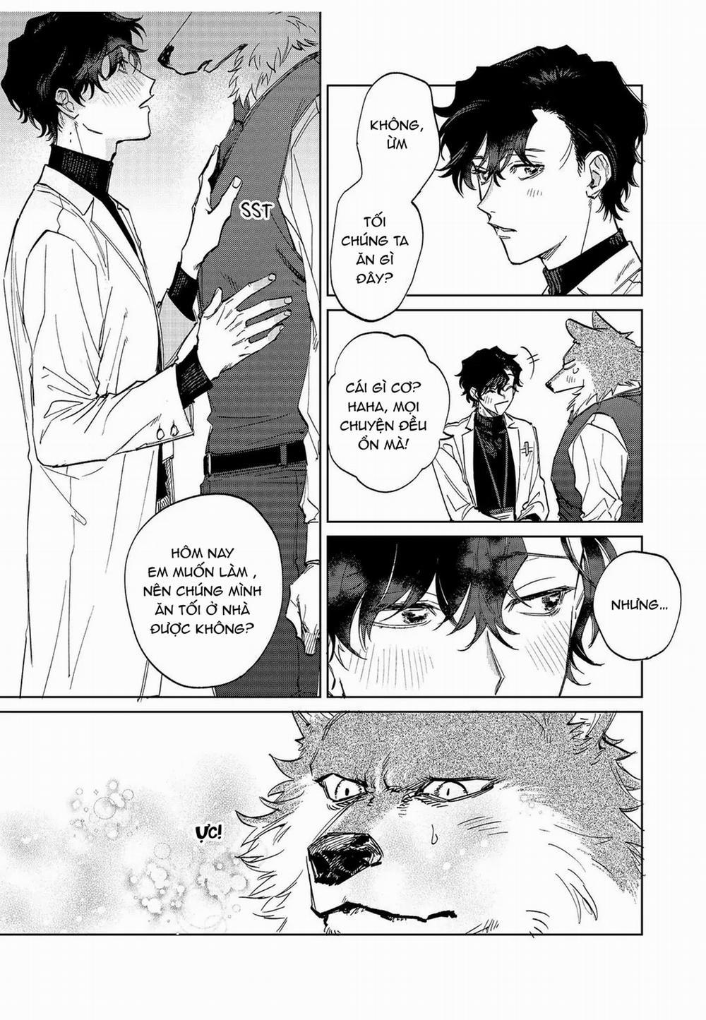 Chìm Đắm Trong Tình Yêu Mãnh Liệt Với Anh Chàng Người Sói 9 trang 16