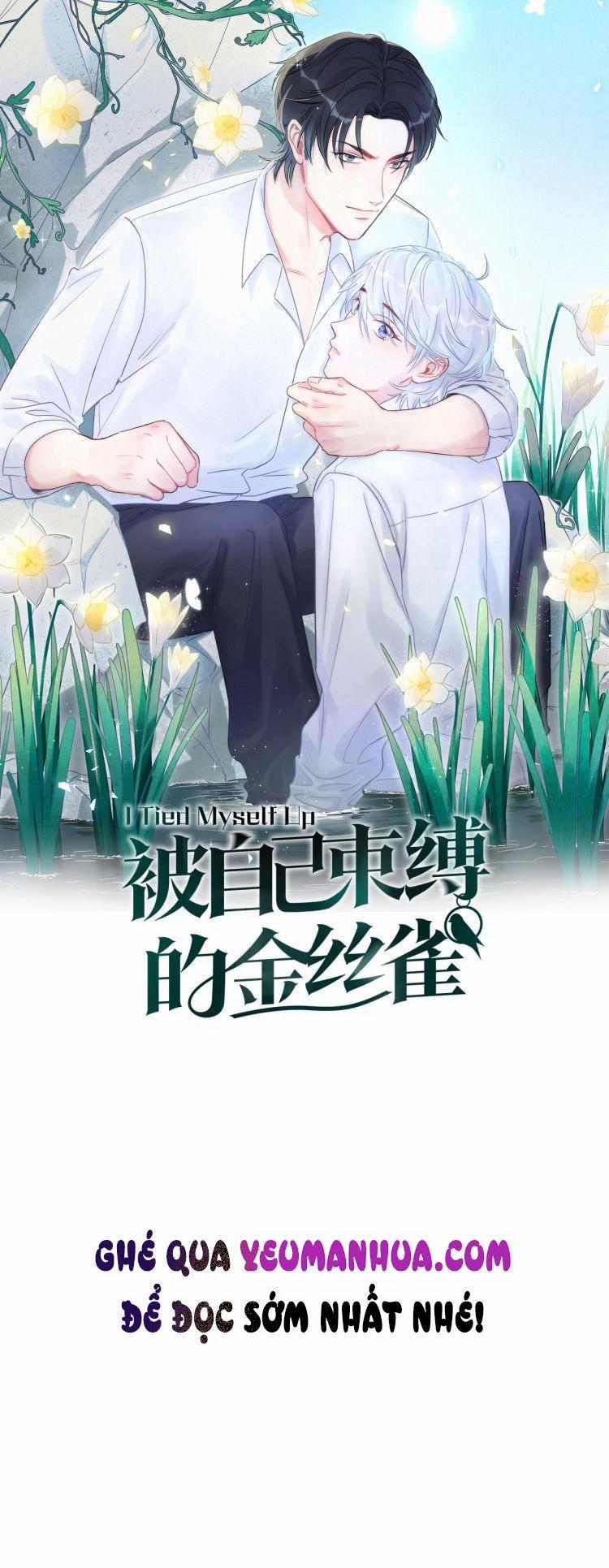 Chim Hoàng Yến Bị Chính Mình Trói Buộc 15 trang 0