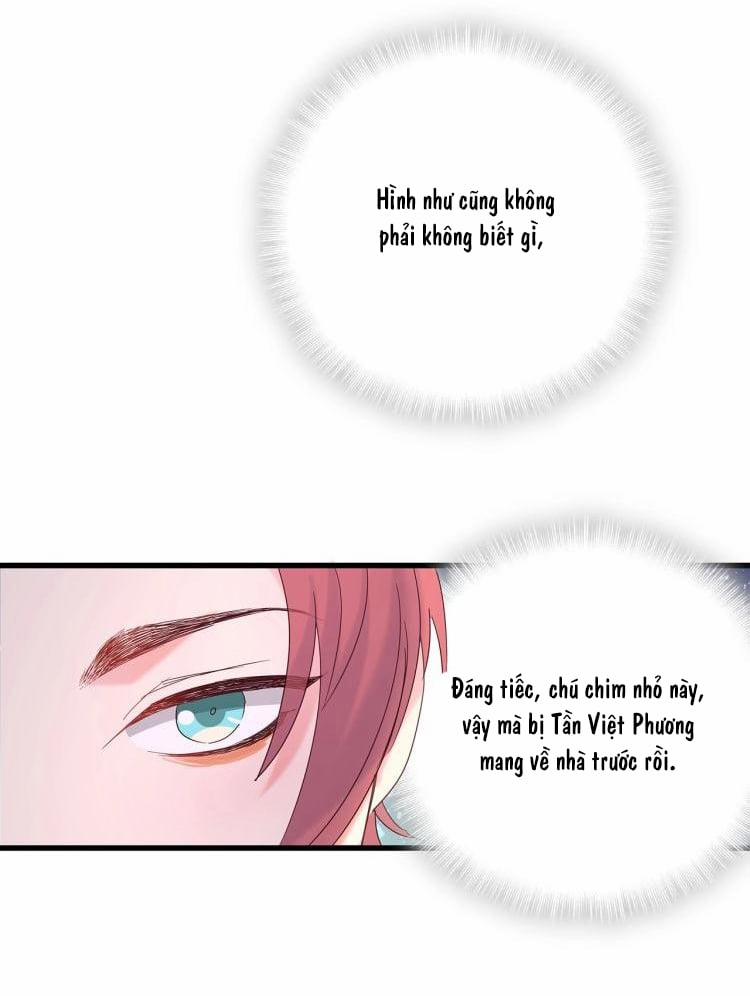 Chim Hoàng Yến Bị Chính Mình Trói Buộc 16 trang 7