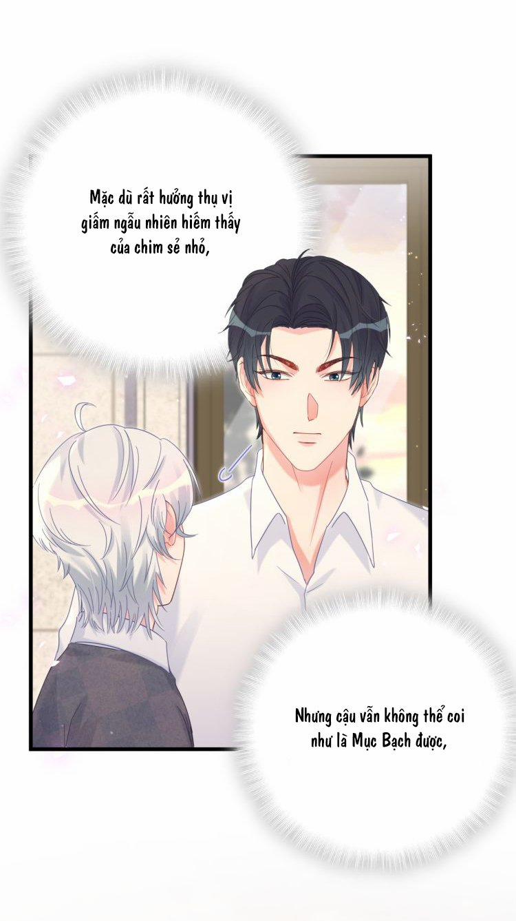 Chim Hoàng Yến Bị Chính Mình Trói Buộc 18 trang 23