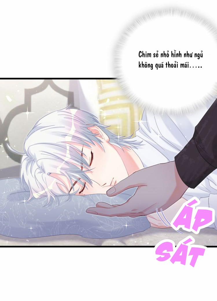 Chim Hoàng Yến Bị Chính Mình Trói Buộc 20 trang 21