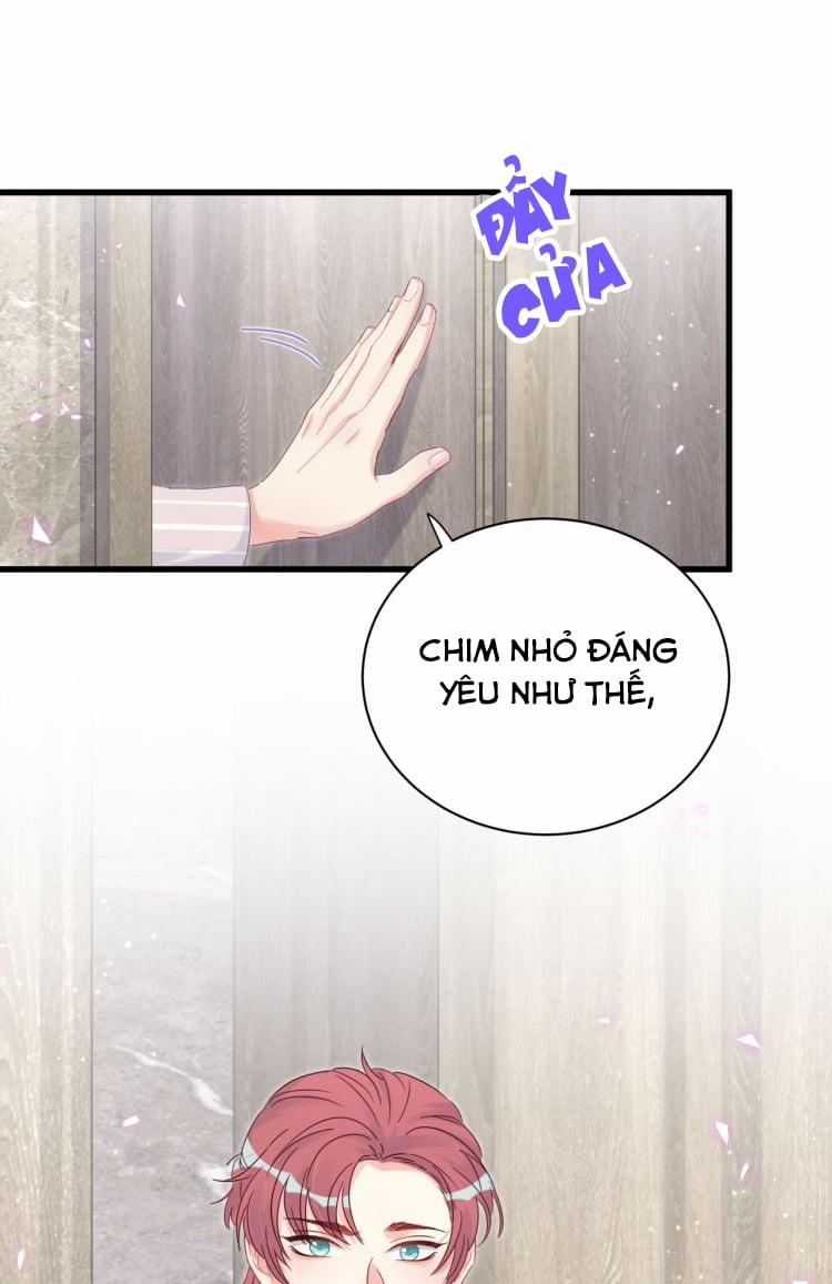 Chim Hoàng Yến Bị Chính Mình Trói Buộc 20 trang 3