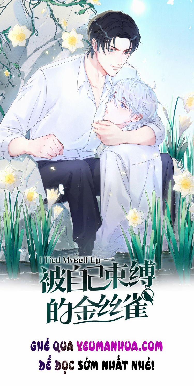 Chim Hoàng Yến Bị Chính Mình Trói Buộc 25 trang 0