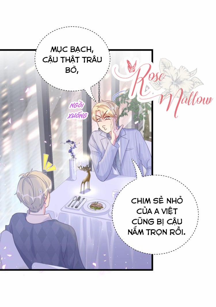 Chim Hoàng Yến Bị Chính Mình Trói Buộc 25 trang 6