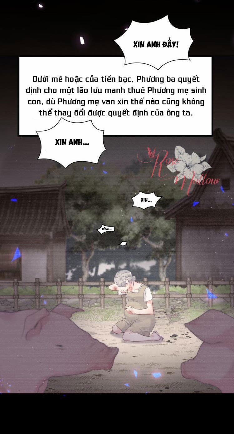 Chim Hoàng Yến Bị Chính Mình Trói Buộc 28 trang 11