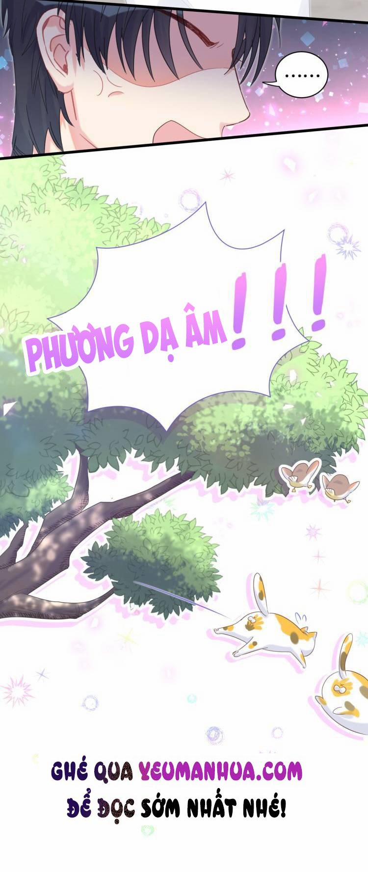 Chim Hoàng Yến Bị Chính Mình Trói Buộc 34 trang 44