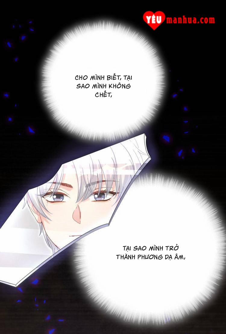 Chim Hoàng Yến Bị Chính Mình Trói Buộc 41 trang 33