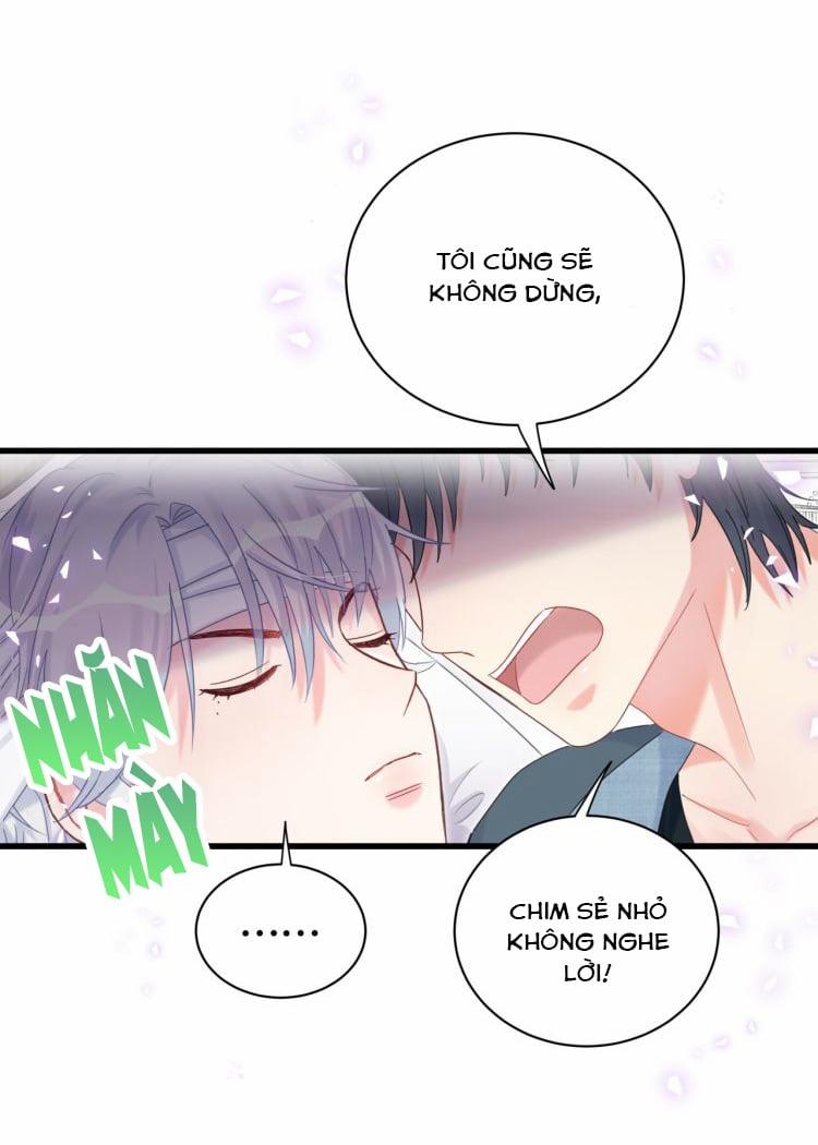 Chim Hoàng Yến Bị Chính Mình Trói Buộc 41 trang 47