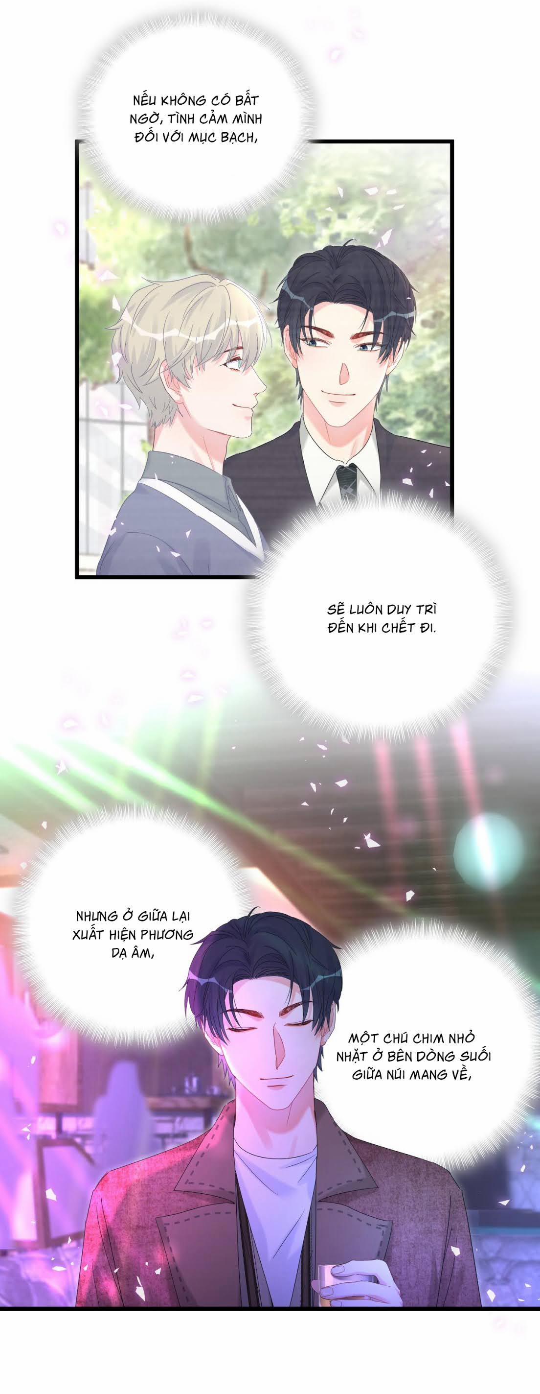 Chim Hoàng Yến Bị Chính Mình Trói Buộc 47 trang 13