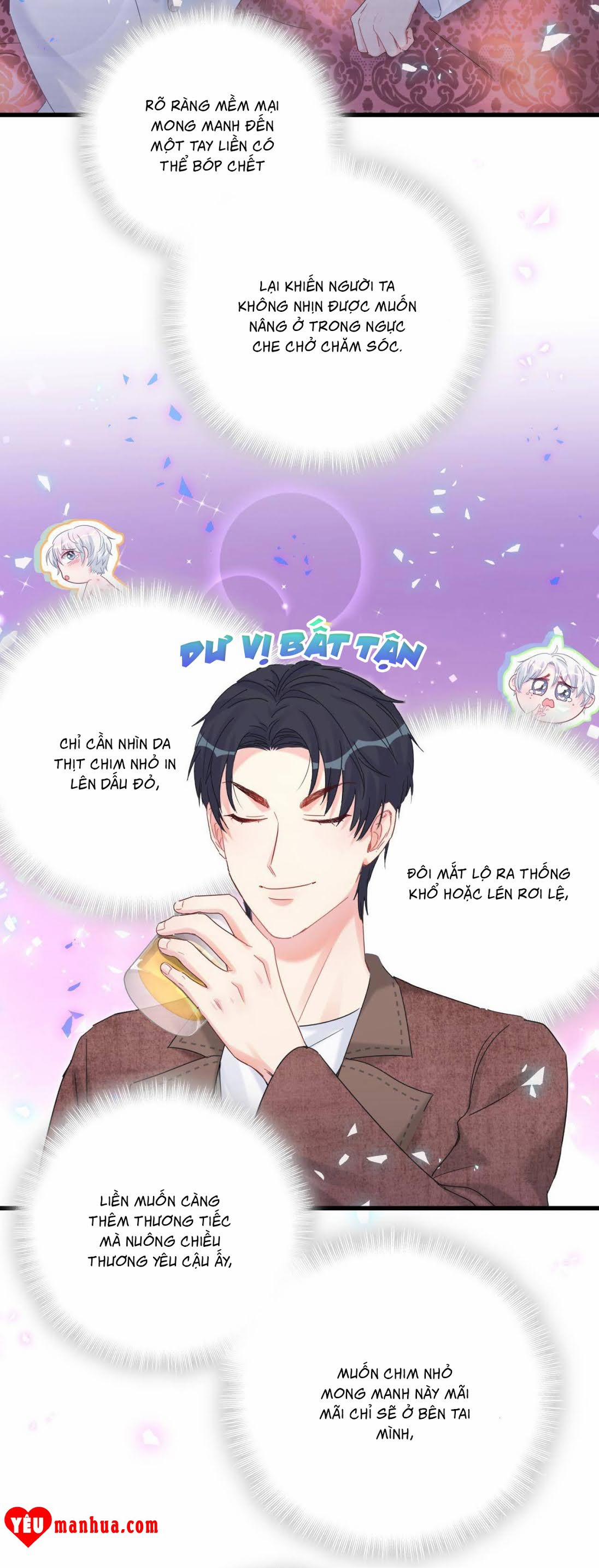 Chim Hoàng Yến Bị Chính Mình Trói Buộc 47 trang 15