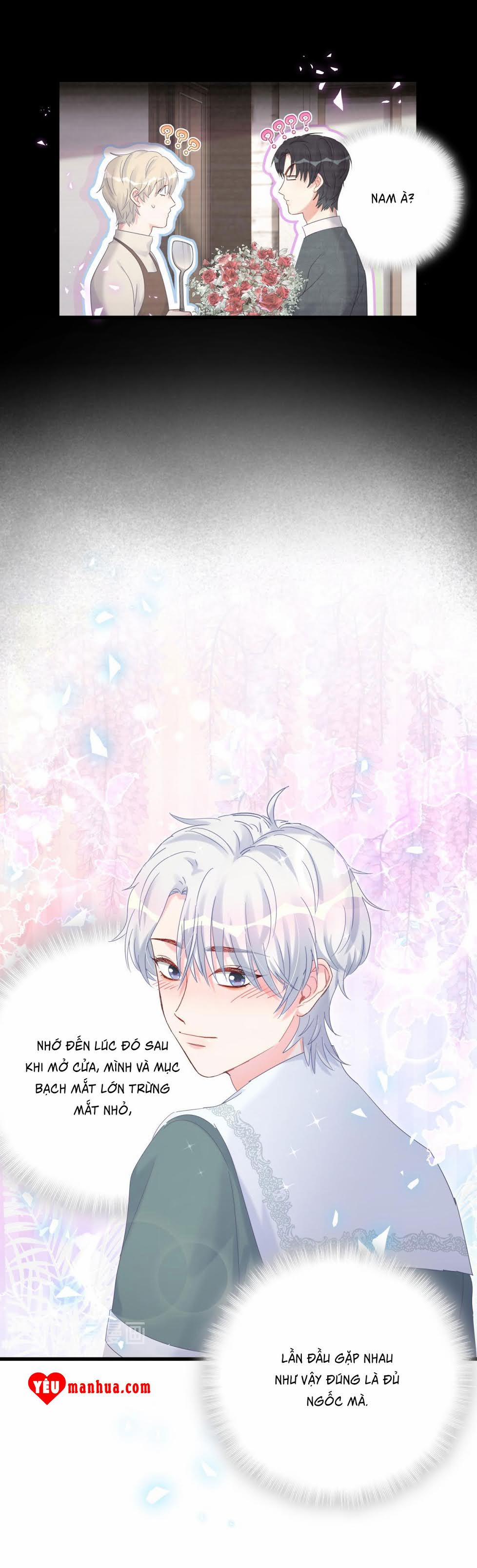 Chim Hoàng Yến Bị Chính Mình Trói Buộc 49 trang 9