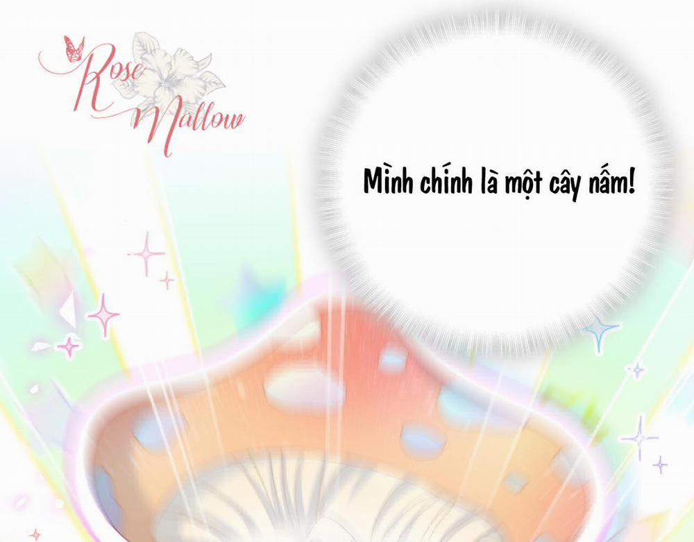 Chim Hoàng Yến Bị Chính Mình Trói Buộc 50 trang 30