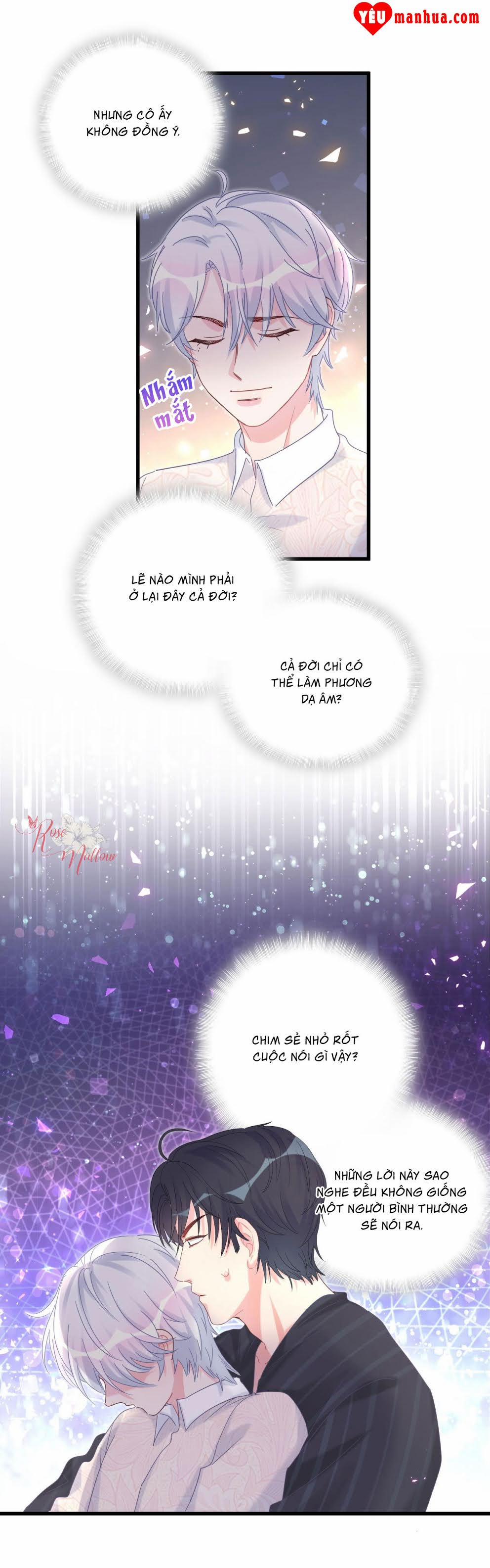 Chim Hoàng Yến Bị Chính Mình Trói Buộc 55 trang 13