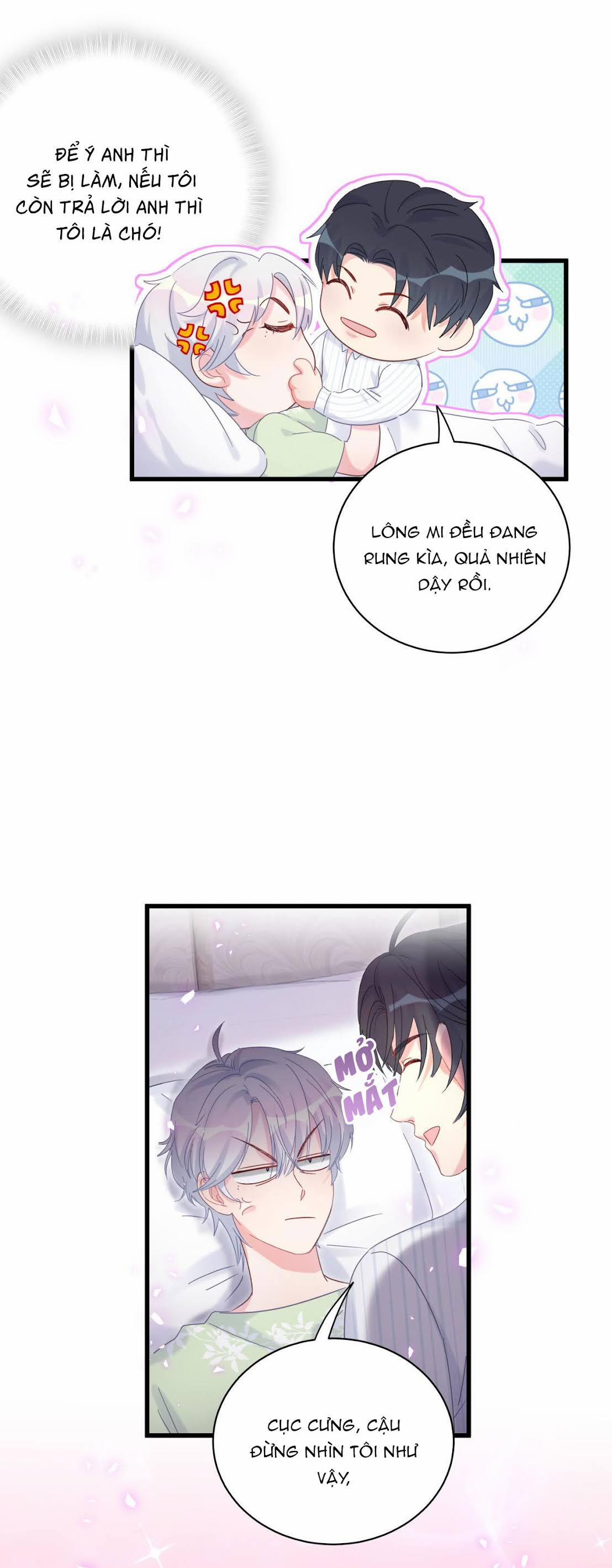 Chim Hoàng Yến Bị Chính Mình Trói Buộc 68 trang 16