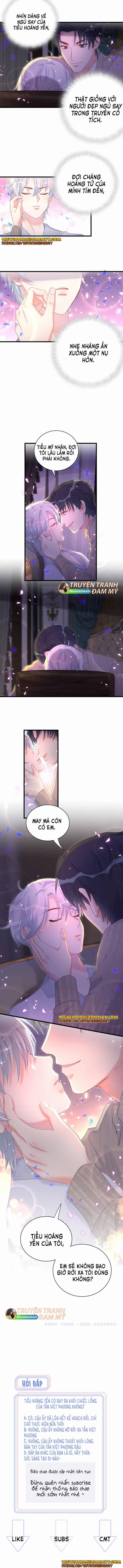 Chim Hoàng Yến Bị Chính Mình Trói Buộc 76 trang 5