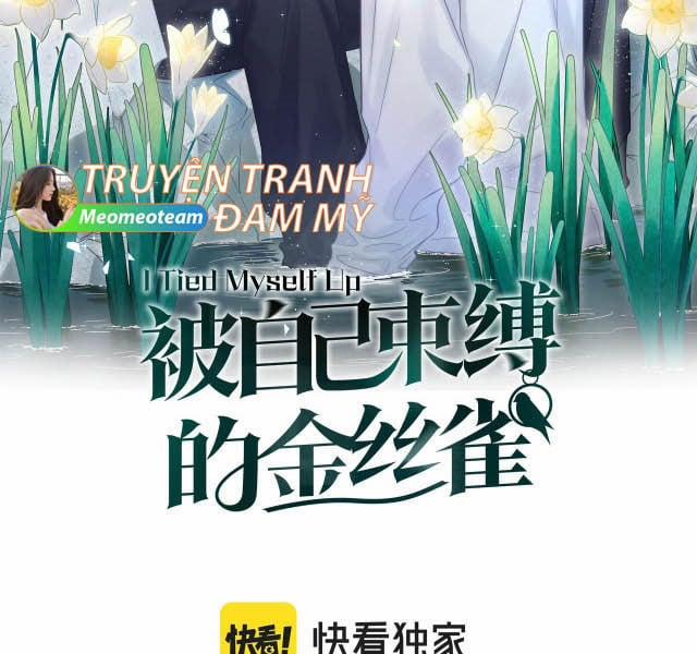 Chim Hoàng Yến Bị Chính Mình Trói Buộc 80 trang 1