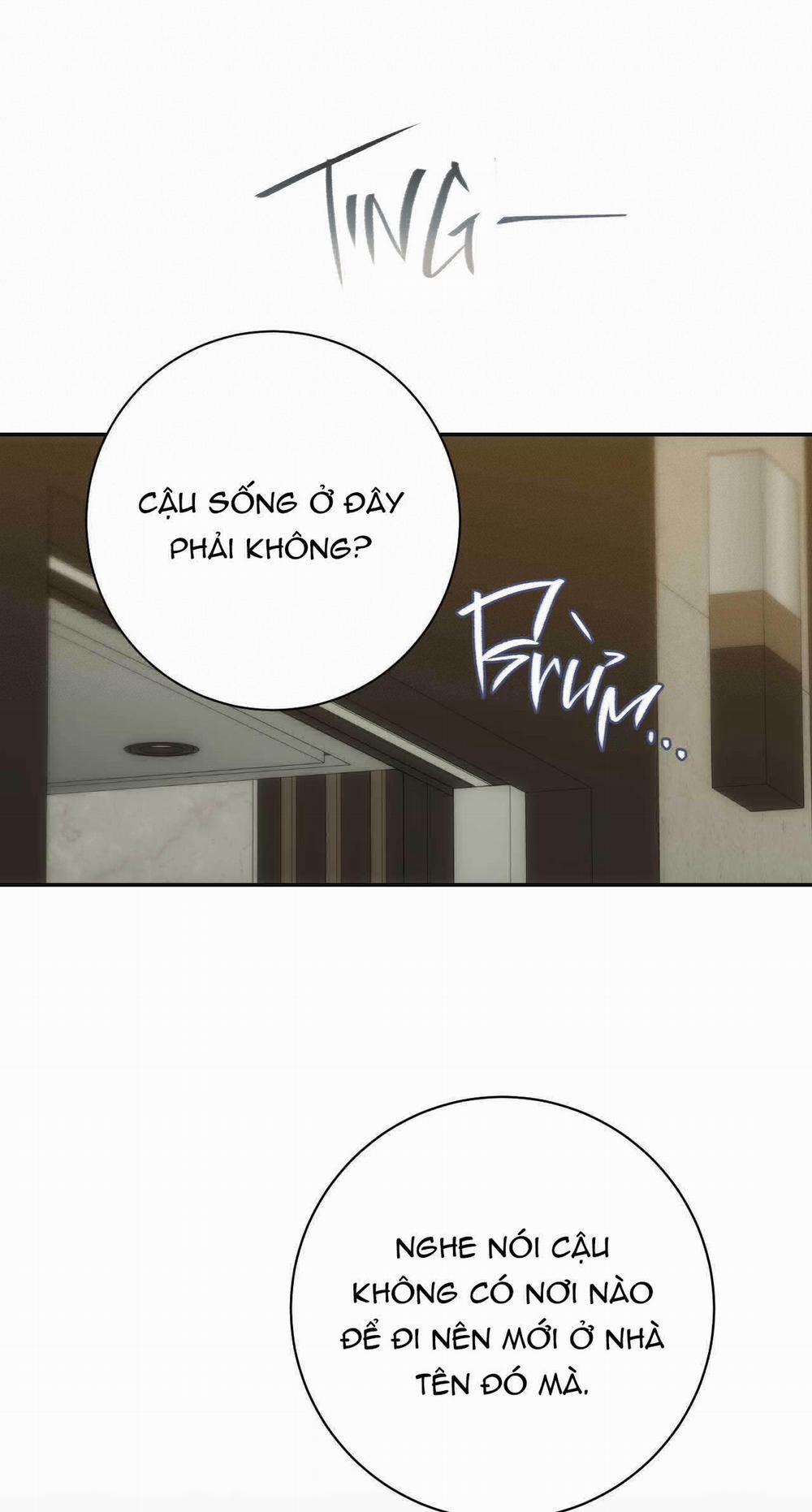 Chìm Trong Khoái Lạc 15 trang 19