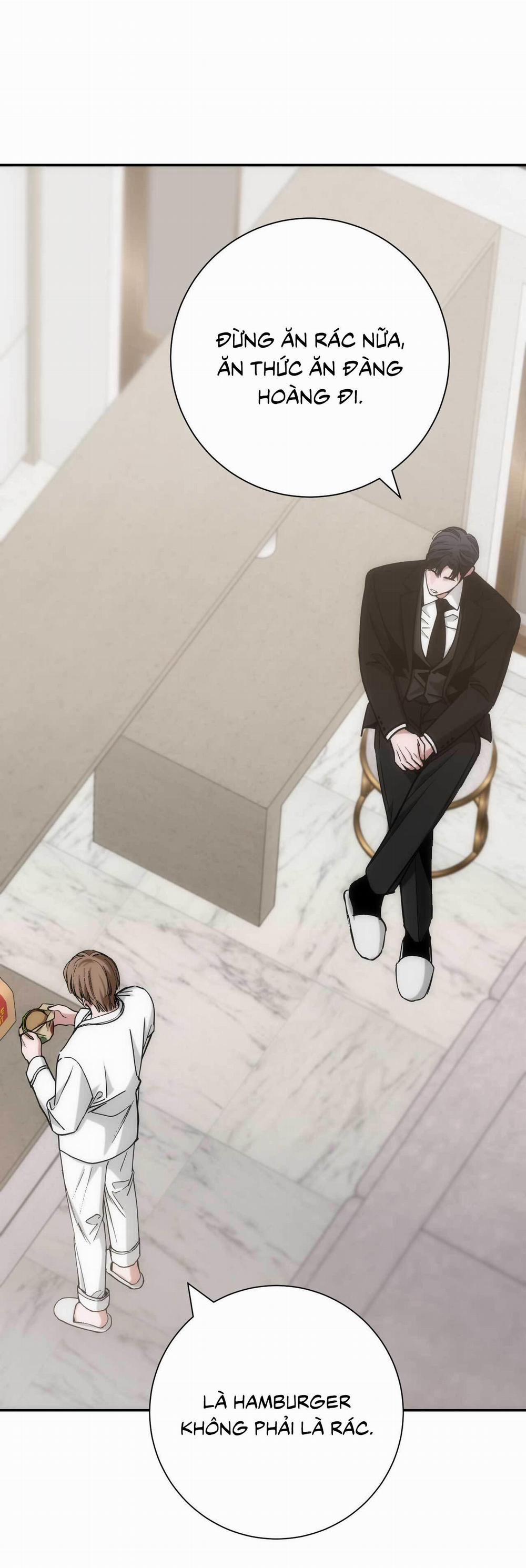 Chìm Trong Khoái Lạc 28 trang 11