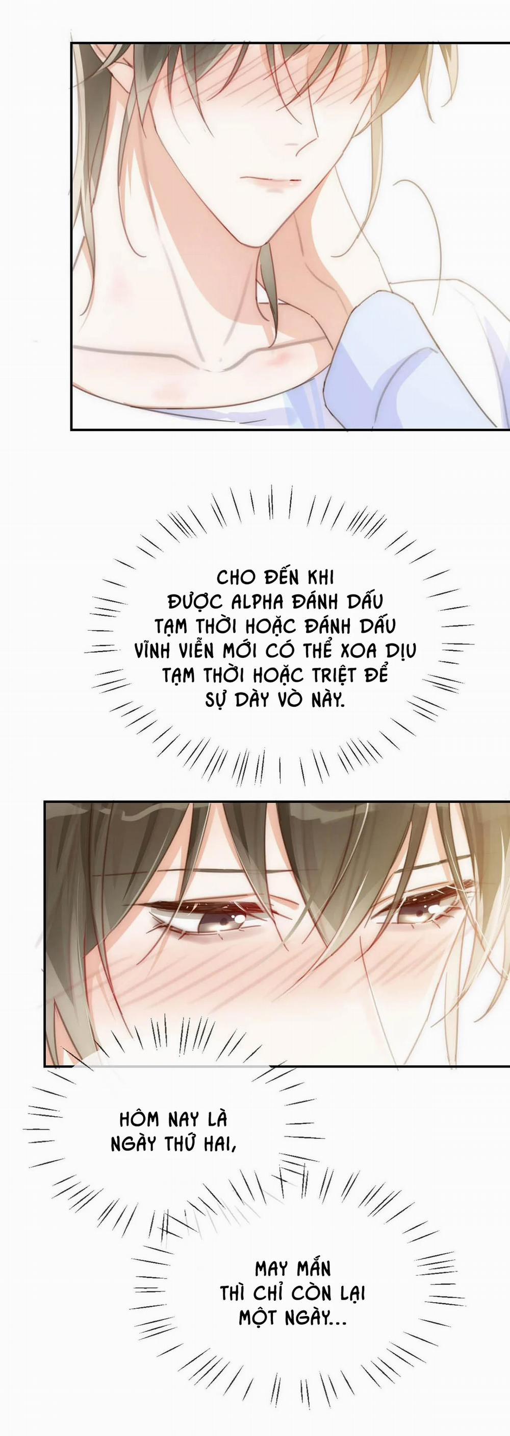 Chìm Trong Men Say 11 trang 18