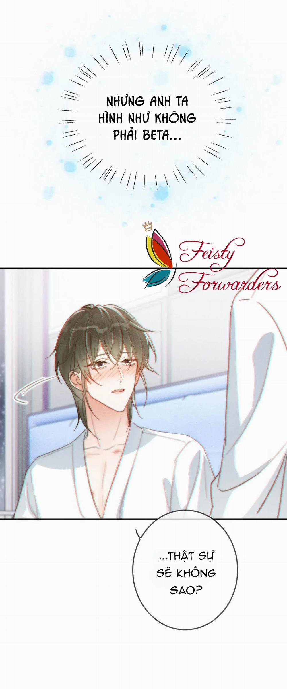 Chìm Trong Men Say 12 trang 13