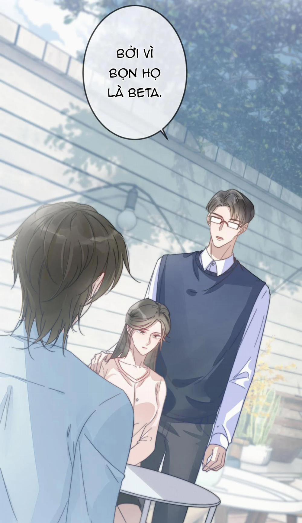 Chìm Trong Men Say 4 trang 22