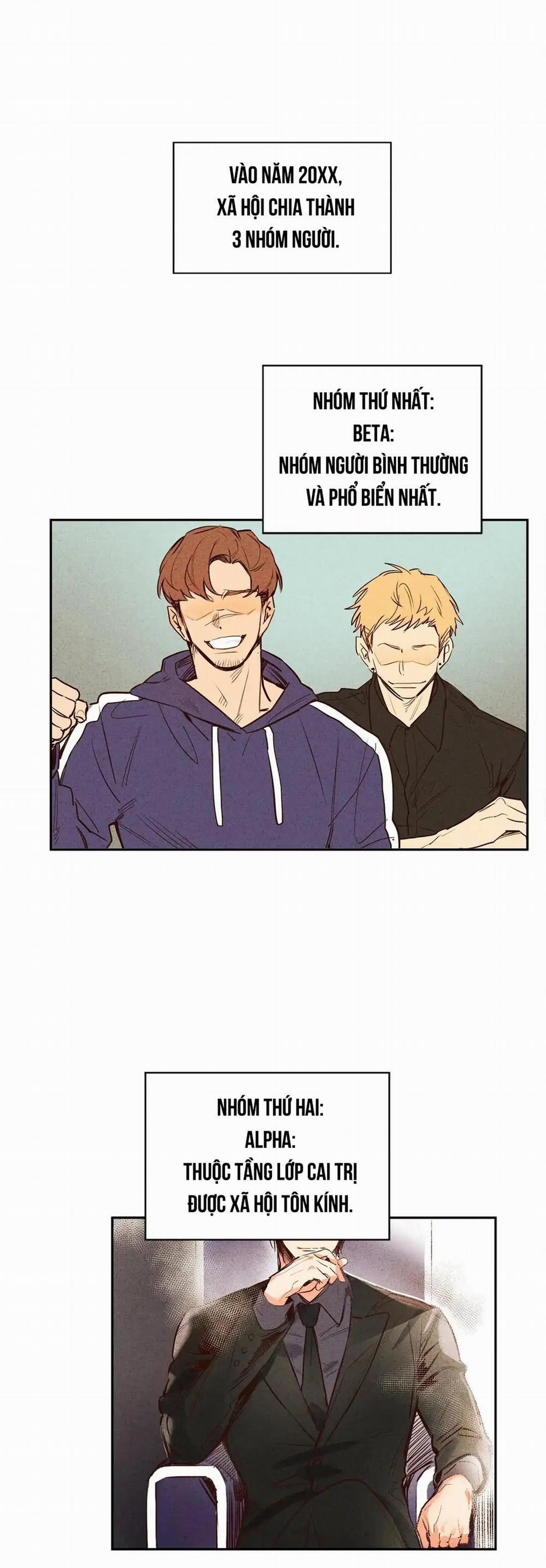 Chìm Trong Pheromone 1 trang 0