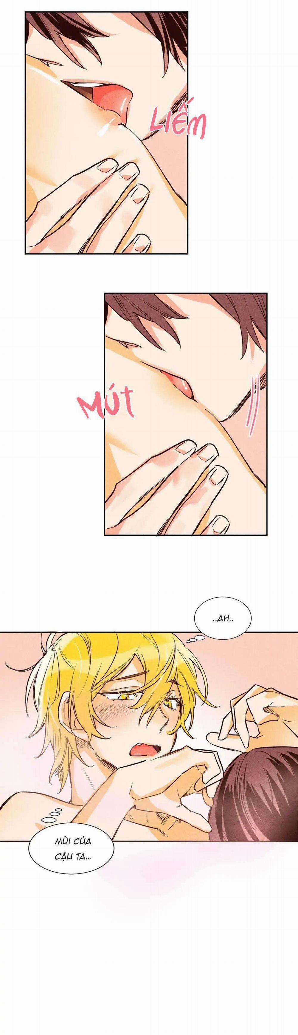 Chìm Trong Pheromone 8 trang 12